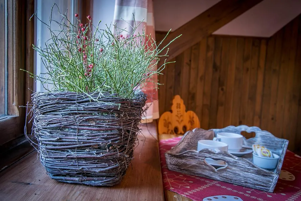 Bed & Breakfast Willa Alpina Zakopane