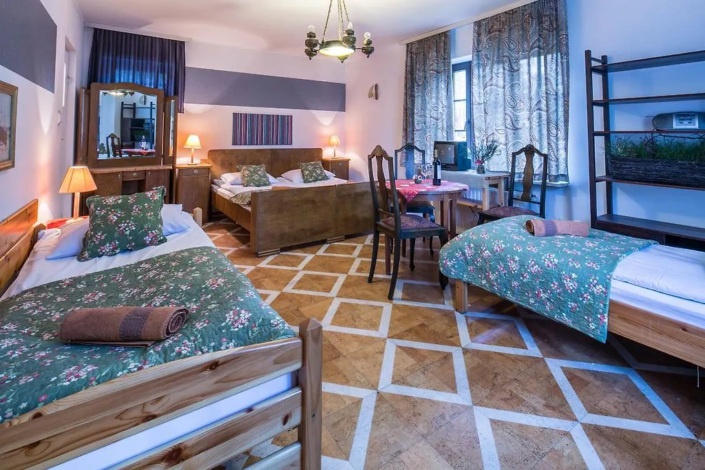 Bed & Breakfast Willa Alpina Zakopane Poland